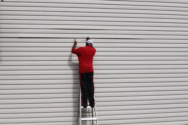 Best Vinyl Siding Installation  in Littleton, CO